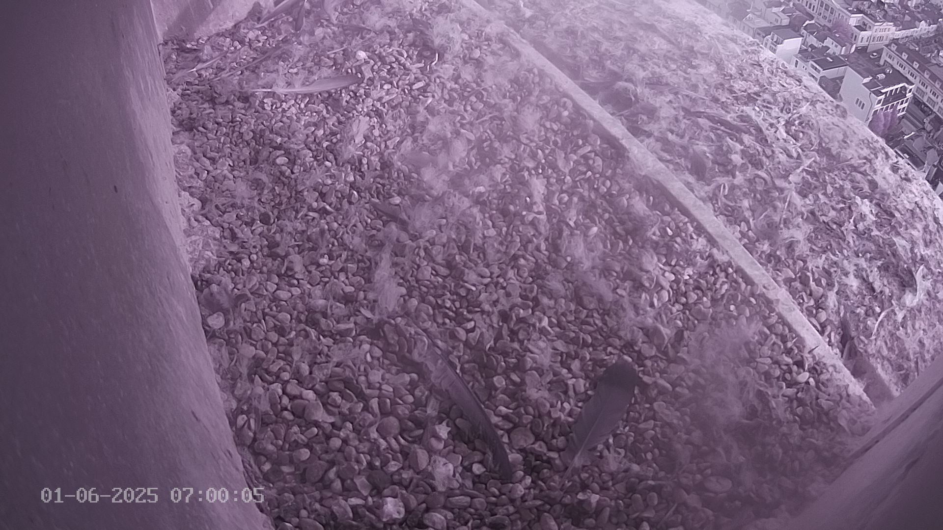 Sussex Heights Webcam Image