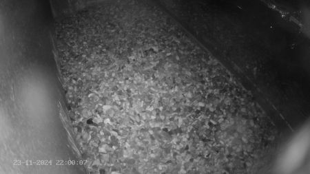 Sussex Heights Peregrine Falcons Webcam Image 23 Nov 2024 22:00:06