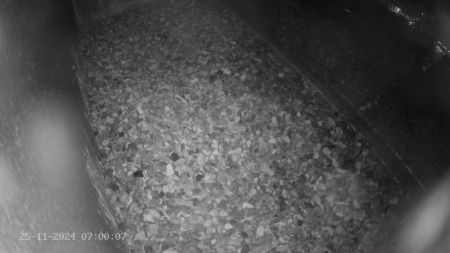 Sussex Heights Peregrine Falcons Webcam Image 25 Nov 2024 07:00:06