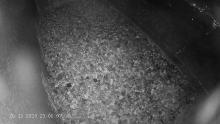 Sussex Heights Peregrine Falcons Webcam Image 26 Nov 2024 23:00:06