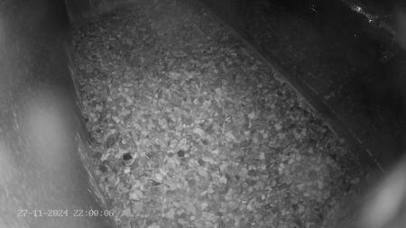 Sussex Heights Peregrine Falcons Webcam Image 27 Nov 2024 22:00:06