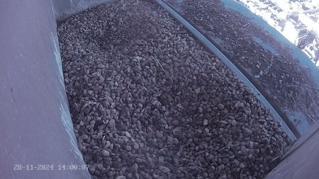 Sussex Heights Peregrine Falcons Webcam Image 28 Nov 2024 14:00:06