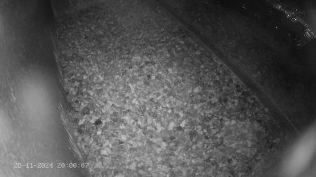 Sussex Heights Peregrine Falcons Webcam Image 28 Nov 2024 20:00:06