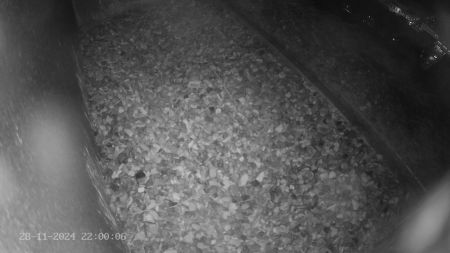 Sussex Heights Peregrine Falcons Webcam Image 28 Nov 2024 22:00:06