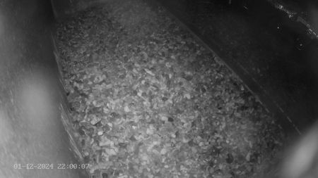 Sussex Heights Peregrine Falcons Webcam Image 1 Dec 2024 22:00:06