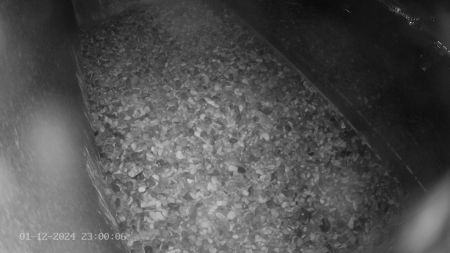 Sussex Heights Peregrine Falcons Webcam Image 1 Dec 2024 23:00:06