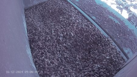 Sussex Heights Peregrine Falcons Webcam Image 16 Dec 2024 09:00:07