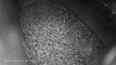 Sussex Heights Peregrine Falcons Webcam Image 16 Dec 2024 23:00:07