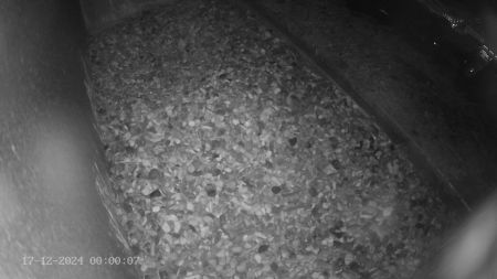 Sussex Heights Peregrine Falcons Webcam Image 17 Dec 2024 00:00:07