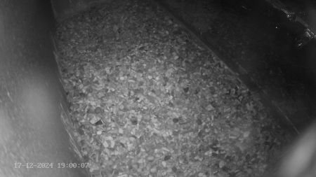 Sussex Heights Peregrine Falcons Webcam Image 17 Dec 2024 19:00:07