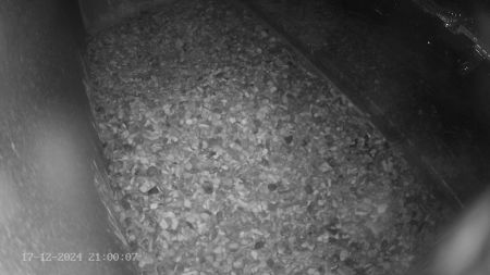 Sussex Heights Peregrine Falcons Webcam Image 17 Dec 2024 21:00:07