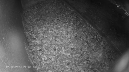 Sussex Heights Peregrine Falcons Webcam Image 17 Dec 2024 22:00:07