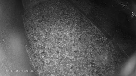 Sussex Heights Peregrine Falcons Webcam Image 18 Dec 2024 00:00:07