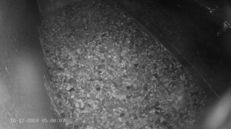 Sussex Heights Peregrine Falcons Webcam Image 18 Dec 2024 05:00:07