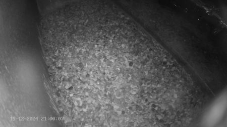 Sussex Heights Peregrine Falcons Webcam Image 19 Dec 2024 21:00:07