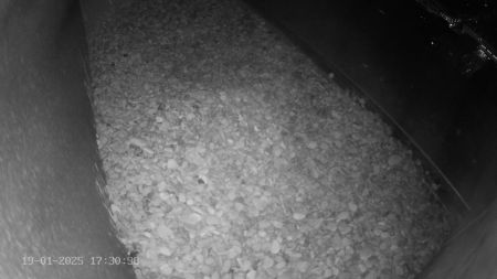 Sussex Heights Peregrine Falcons Webcam Image 19 Jan 2025 17:30:38