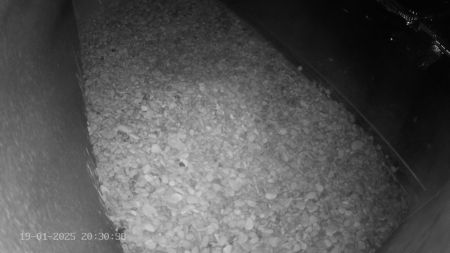 Sussex Heights Peregrine Falcons Webcam Image 19 Jan 2025 20:30:38