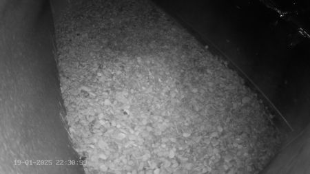 Sussex Heights Peregrine Falcons Webcam Image 19 Jan 2025 22:30:38