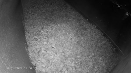 Sussex Heights Peregrine Falcons Webcam Image 20 Jan 2025 01:30:38