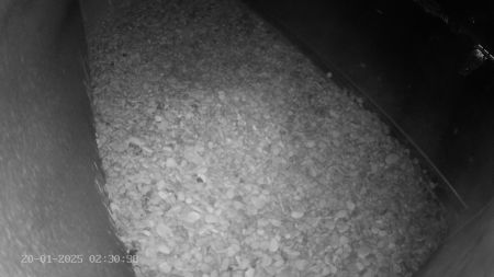 Sussex Heights Peregrine Falcons Webcam Image 20 Jan 2025 02:30:38