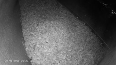 Sussex Heights Peregrine Falcons Webcam Image 20 Jan 2025 04:30:38