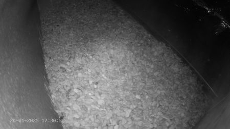 Sussex Heights Peregrine Falcons Webcam Image 20 Jan 2025 17:30:38