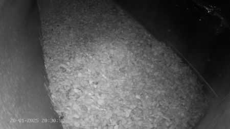 Sussex Heights Peregrine Falcons Webcam Image 20 Jan 2025 20:30:38