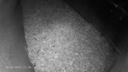 Sussex Heights Peregrine Falcons Webcam Image 20 Jan 2025 21:30:38