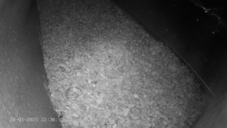 Sussex Heights Peregrine Falcons Webcam Image 20 Jan 2025 22:30:38