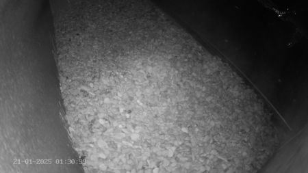 Sussex Heights Peregrine Falcons Webcam Image 21 Jan 2025 01:30:38