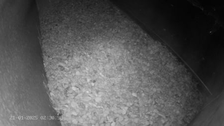 Sussex Heights Peregrine Falcons Webcam Image 21 Jan 2025 02:30:38