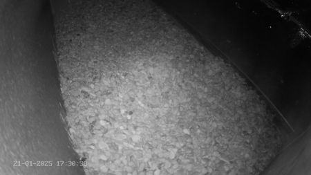 Sussex Heights Peregrine Falcons Webcam Image 21 Jan 2025 17:30:38