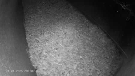 Sussex Heights Peregrine Falcons Webcam Image 21 Jan 2025 20:30:38