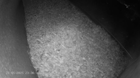 Sussex Heights Peregrine Falcons Webcam Image 21 Jan 2025 23:30:38