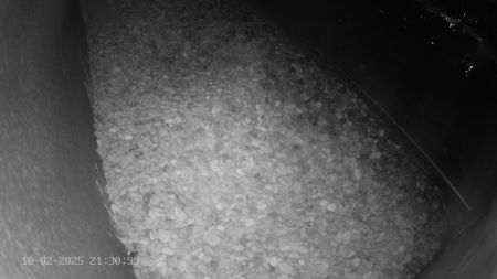 Sussex Heights Peregrine Falcons Webcam Image 10 Feb 2025 21:30:38