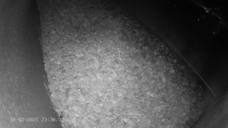 Sussex Heights Peregrine Falcons Webcam Image 10 Feb 2025 23:30:38