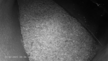 Sussex Heights Peregrine Falcons Webcam Image 13 Feb 2025 00:30:38