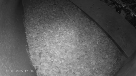 Sussex Heights Peregrine Falcons Webcam Image 13 Feb 2025 17:30:38