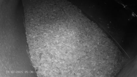 Sussex Heights Peregrine Falcons Webcam Image 14 Feb 2025 05:30:38