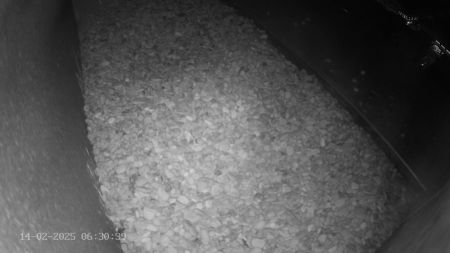 Sussex Heights Peregrine Falcons Webcam Image 14 Feb 2025 06:30:38