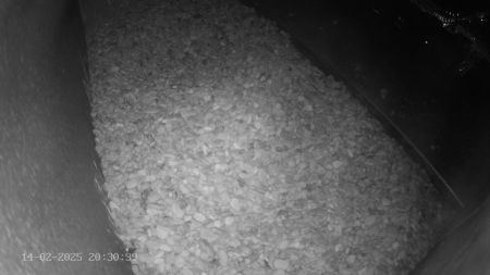 Sussex Heights Peregrine Falcons Webcam Image 14 Feb 2025 20:30:38