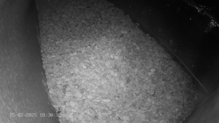 Sussex Heights Peregrine Falcons Webcam Image 15 Feb 2025 18:30:38