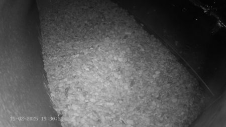 Sussex Heights Peregrine Falcons Webcam Image 15 Feb 2025 19:30:38