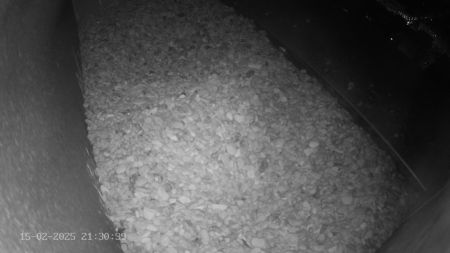 Sussex Heights Peregrine Falcons Webcam Image 15 Feb 2025 21:30:38