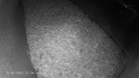 Sussex Heights Peregrine Falcons Webcam Image 15 Feb 2025 22:30:38