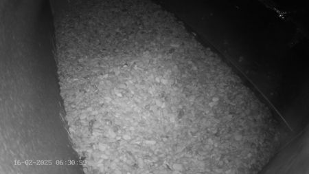 Sussex Heights Peregrine Falcons Webcam Image 16 Feb 2025 06:30:38