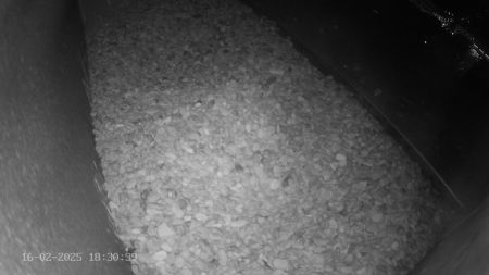 Sussex Heights Peregrine Falcons Webcam Image 16 Feb 2025 18:30:38