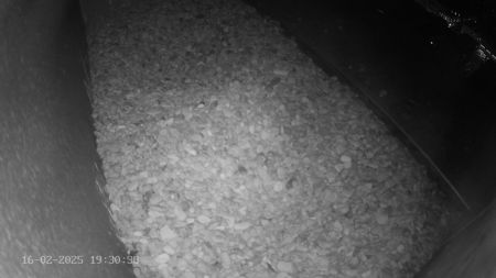 Sussex Heights Peregrine Falcons Webcam Image 16 Feb 2025 19:30:38