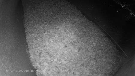 Sussex Heights Peregrine Falcons Webcam Image 16 Feb 2025 20:30:38