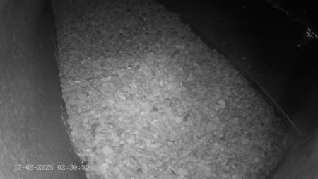 Sussex Heights Peregrine Falcons Webcam Image 17 Feb 2025 02:30:38